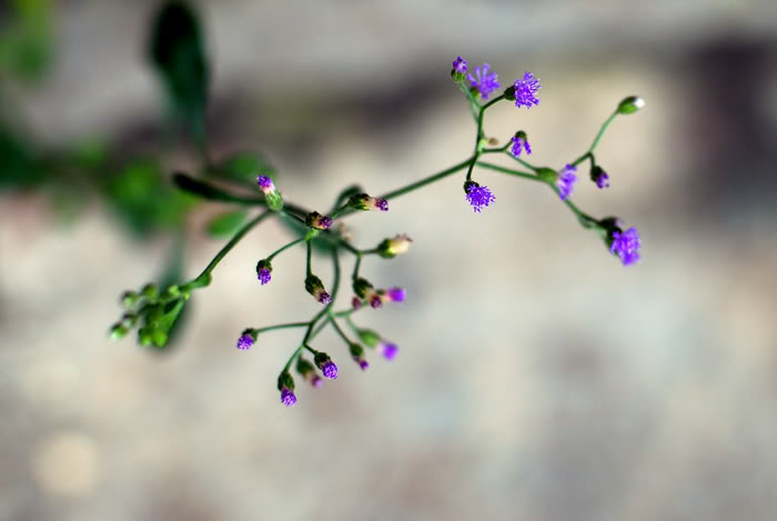 BE05D629-E2A0-4572-AB2A-F0DC8B923787.jpeg