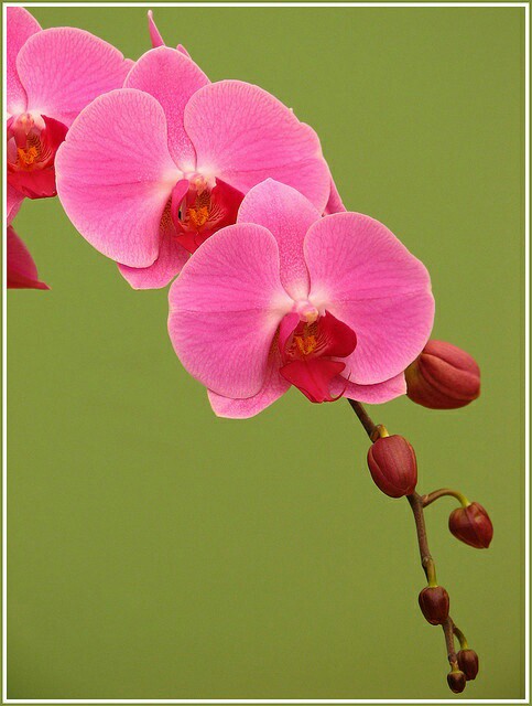 bf9c817f0ecadadc6abe8fb7c69dd2d3.jpg