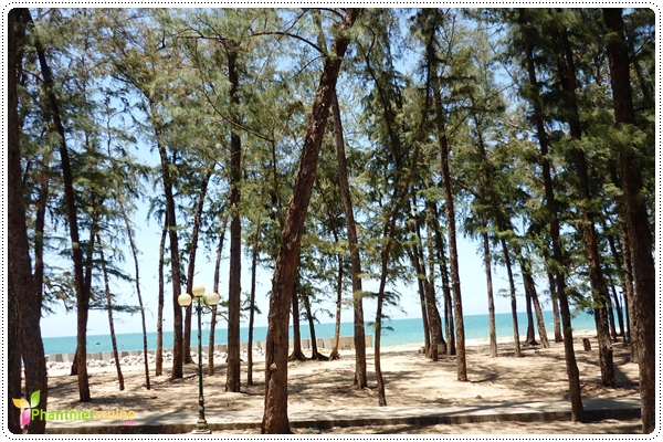 bien_doi_duong_phan_thiet009[1].JPG
