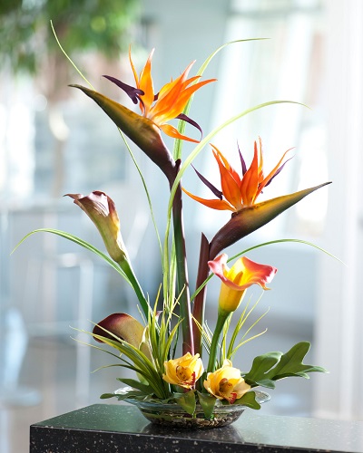bird-of-paradise-wedding-anniversary[1].jpg