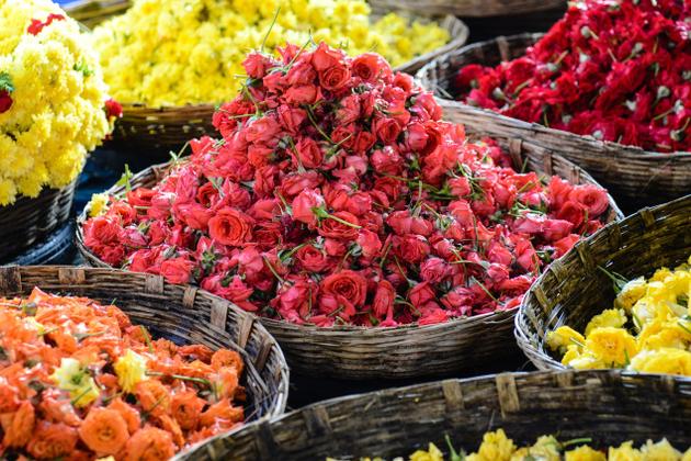 BLink24_Flowers_jp_2594411g[1].jpg