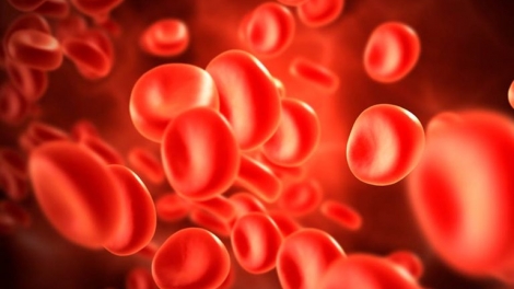 blood_thumbnail.jpg