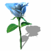 blue_rose_rotate_animation.GIF