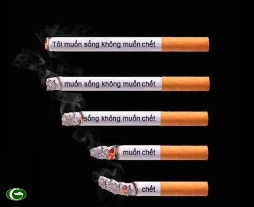 bo_thuoc_la5_kienthuc_xcha.jpg