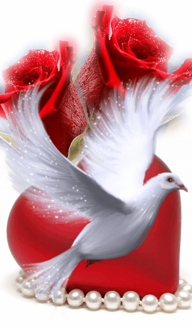 c40d5ff3133b1cf9b31eadcbcf18fa14.gif