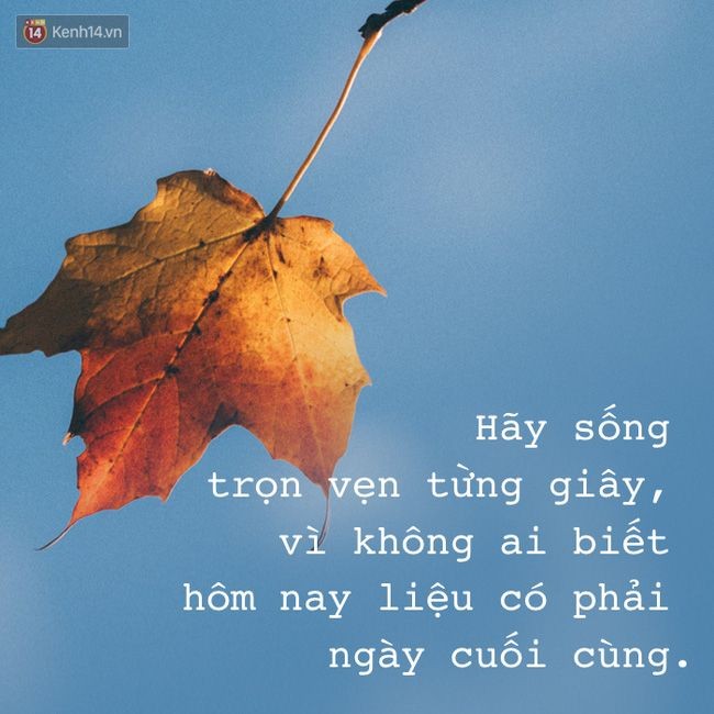 c4fa5b61713ca64aab5438145d8ee14d.jpg
