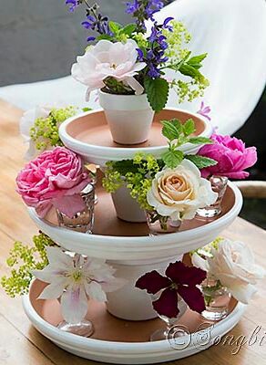 c7b81c9a069c6bdddc65f8231db11af4.jpg