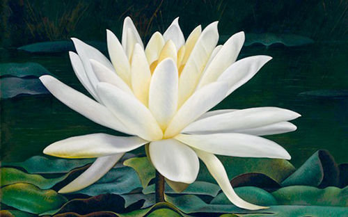 C__Data_Users_DefApps_AppData_INTERNETEXPLORER_Temp_Saved Images_untitled(111).png