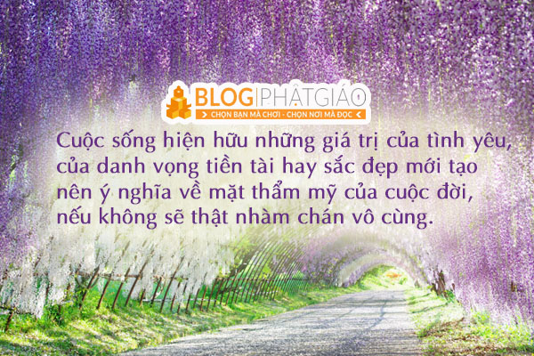 C__Data_Users_DefApps_AppData_INTERNETEXPLORER_Temp_Saved Images_untitled(37).png