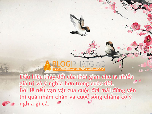 C__Data_Users_DefApps_AppData_INTERNETEXPLORER_Temp_Saved Images_untitled(41).png