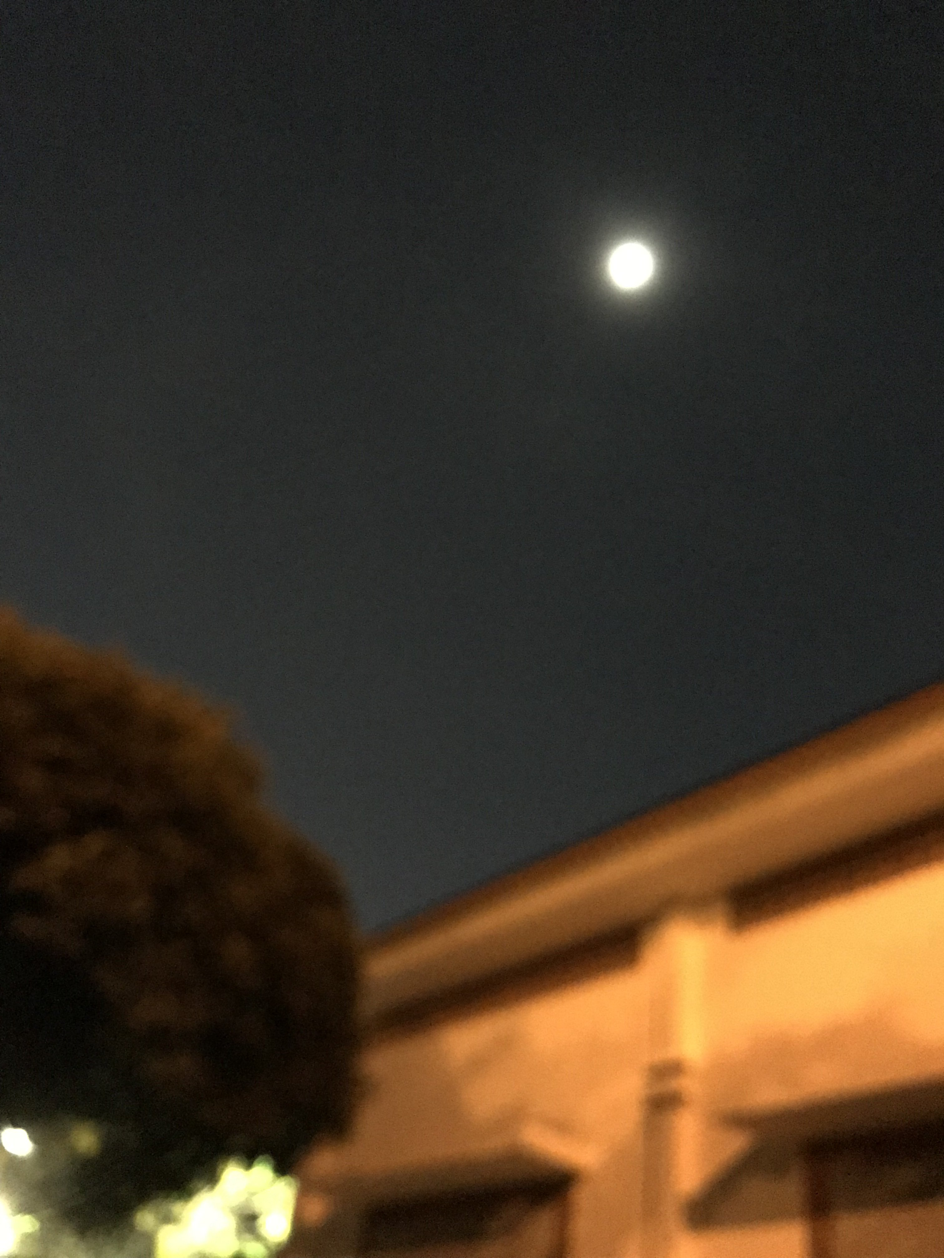 CAA2D4AF-11FC-47C9-8D9B-E46955D8FA37.jpeg