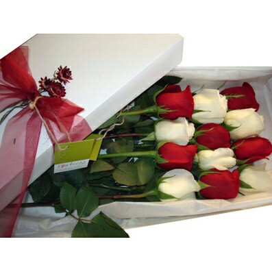 cae8a7fa0d6e203c505cef43dbb5924f.jpg