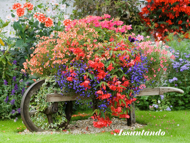 carrinho+flores[1].gif