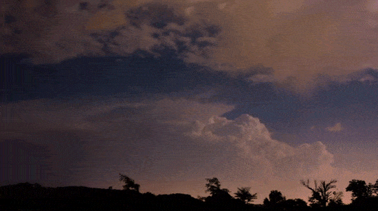 cd13-358c5.gif