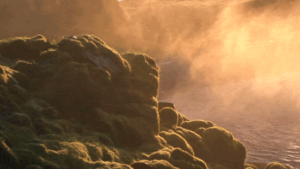 cd15-358c5.gif
