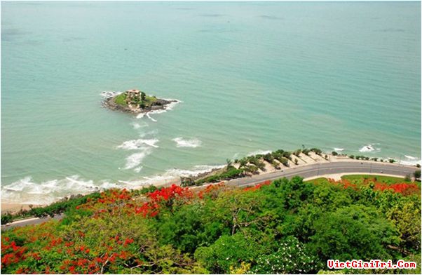 con-duong-xuyen-bien-doc-nhat-vo-nhi-o-vung-tau-7ed1bd[1].jpg