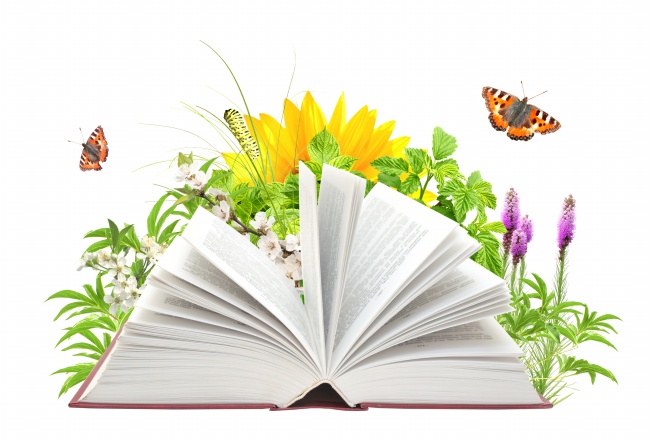 creative-flower-plant-picture-book-0.jpg