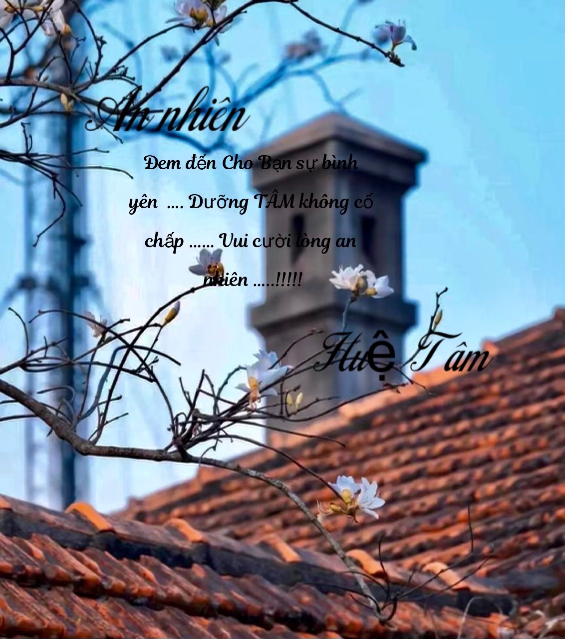 D1EF5B2B-A70E-4C41-B72A-8F9EB02ABCA9.jpeg