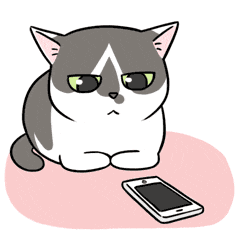 d3ec3bf9e5dba6a4534478479c2af2db.gif
