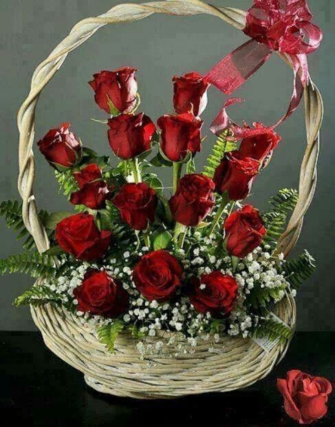 dafa853be48c10733211cd5e04770eeb.jpg