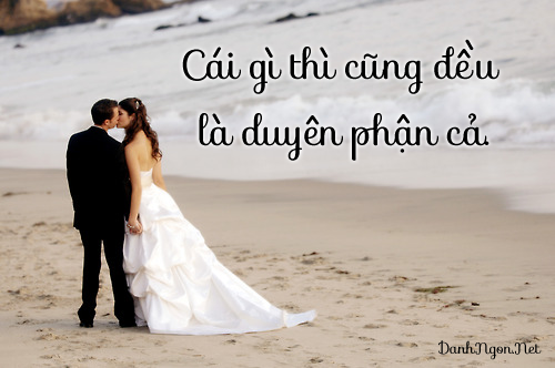 dam-cuoi[1].png