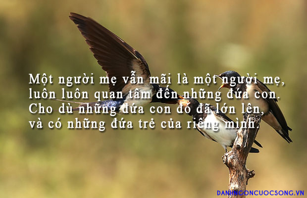 danh-ngon-ve-me-107[3].jpg
