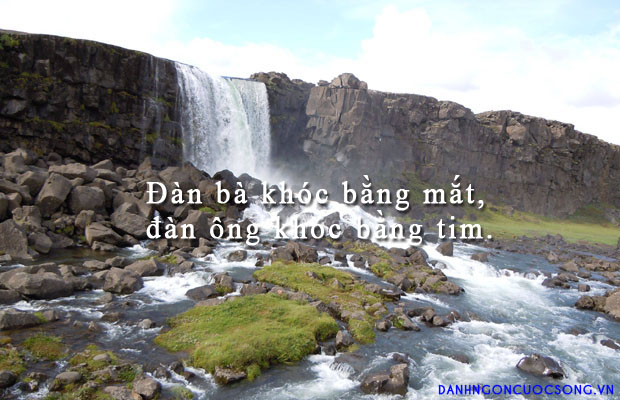 danhngondanong71[1].jpg