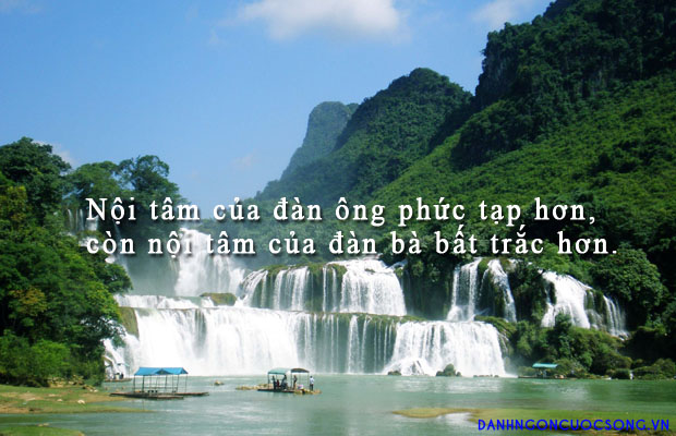 danhngondanong73[1].jpg
