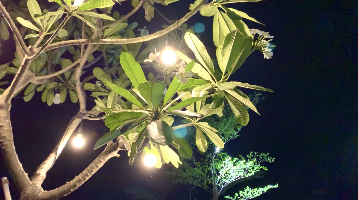DF621EF8-D1D0-499C-A4C0-1EE7722692E6.jpeg
