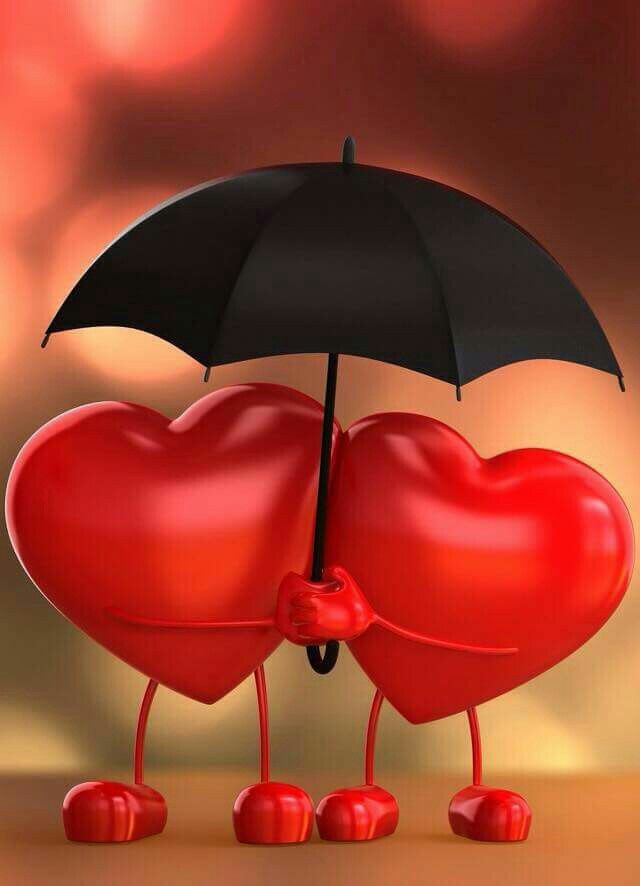 df8f7f9a8e4760eaaf4716b077979b1e.jpg