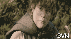 dophuquy.com_24.gif