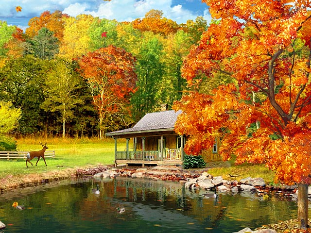 download-free-wallpapers-12[1].jpg