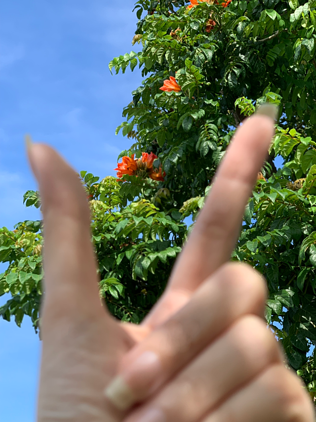 E3F35617-B057-40A2-BF96-6241BDF2C563.png