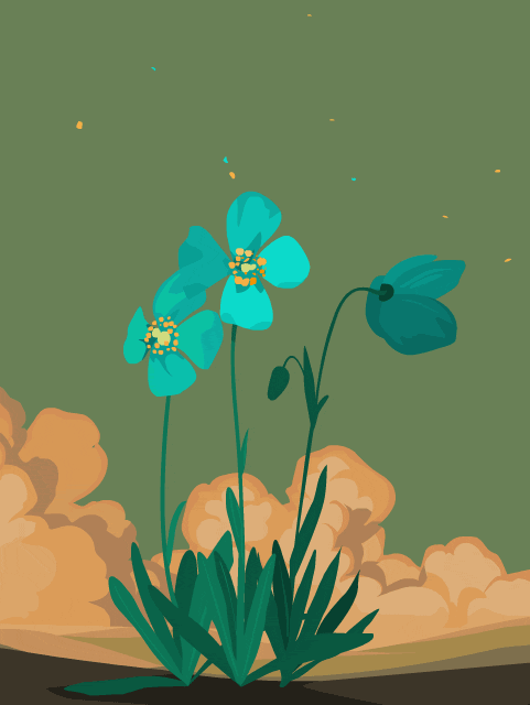 e9a8ea63d3ef6cd695baf4fa21d125bb.gif