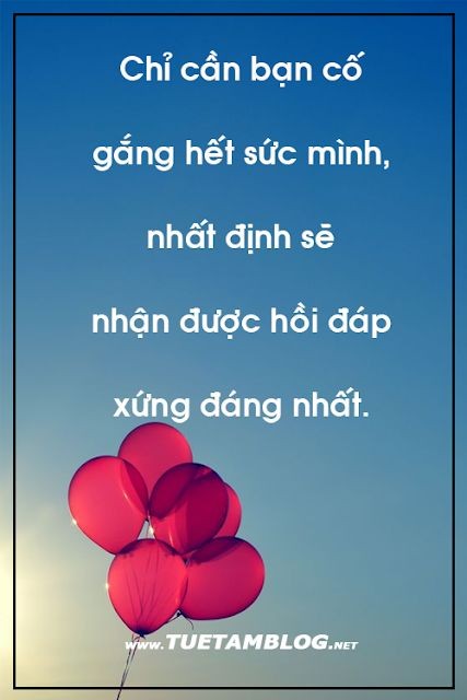e9c8b9788cc2cf4ca5af18eb221bb3ec.jpg