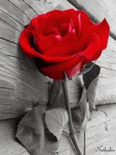 E9DFA73D-ABAE-40E7-B17B-96E9DF4C30D5.gif