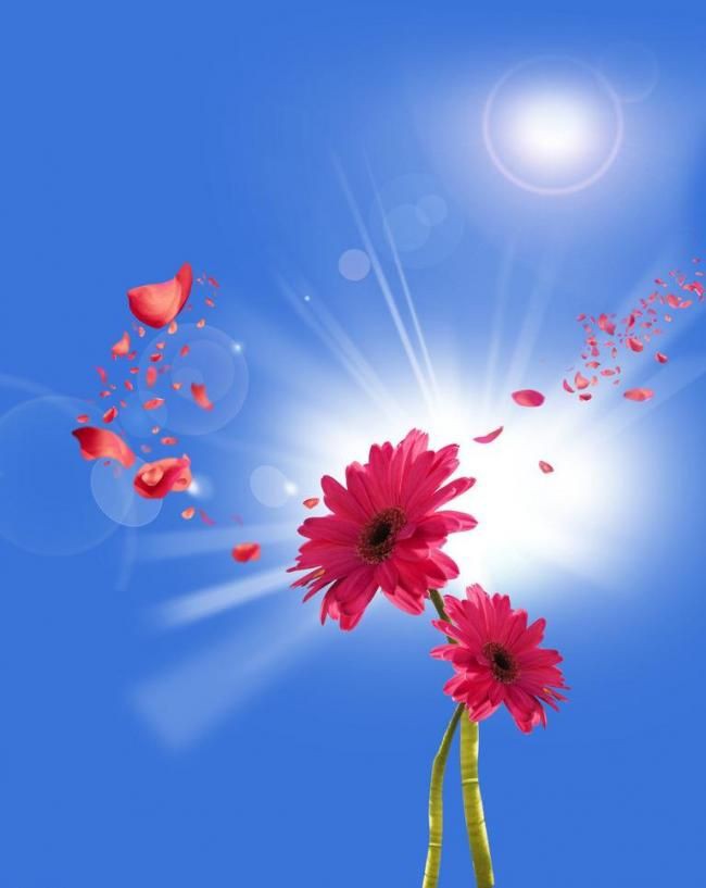 eee8caa6ad854f56b8bec8143c005b74.jpg