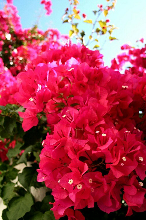 f238de0523fef0d9a2550f3875eeeec5.jpg