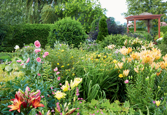 f6a22_garden-country-garden-lotus[1].jpg