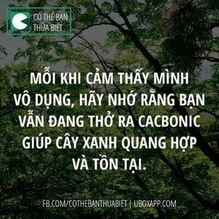 F700D1CB-1D22-46C5-8170-1A948BB6575F.jpeg