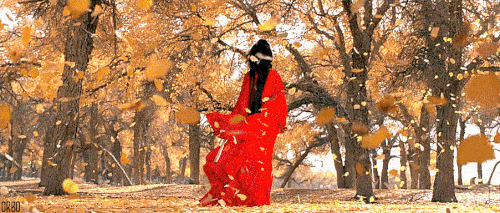 fall-nature-animated-gif-6.gif