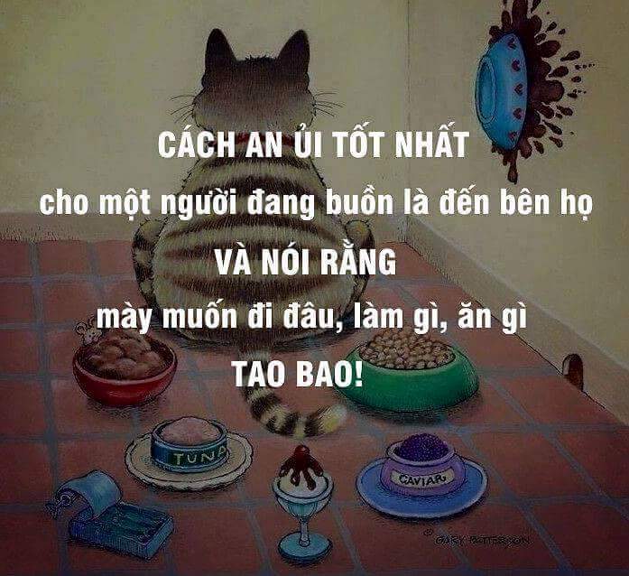 FB_IMG_1462103951425.jpg