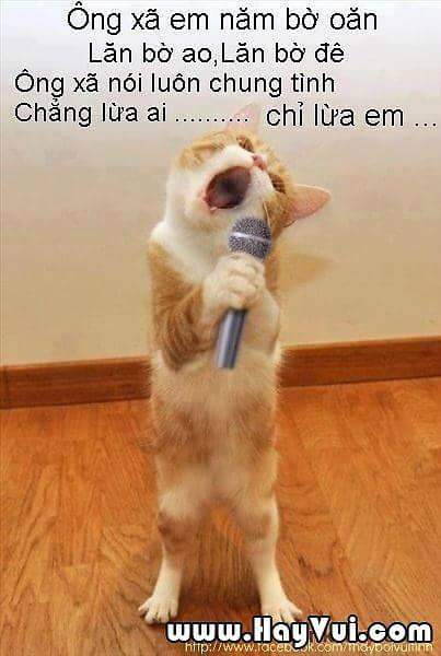 FB_IMG_1465616301405.jpg