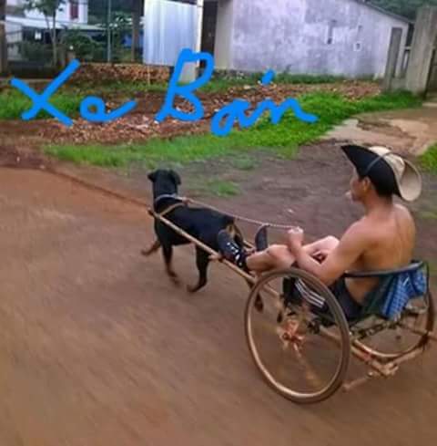 FB_IMG_1481501443683.jpg