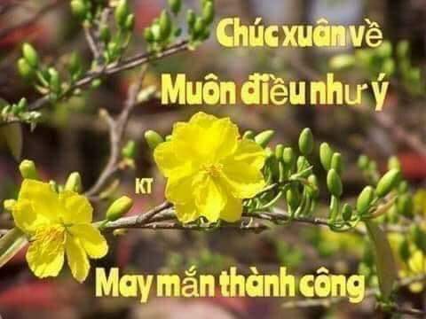FB_IMG_1549272384969.jpg