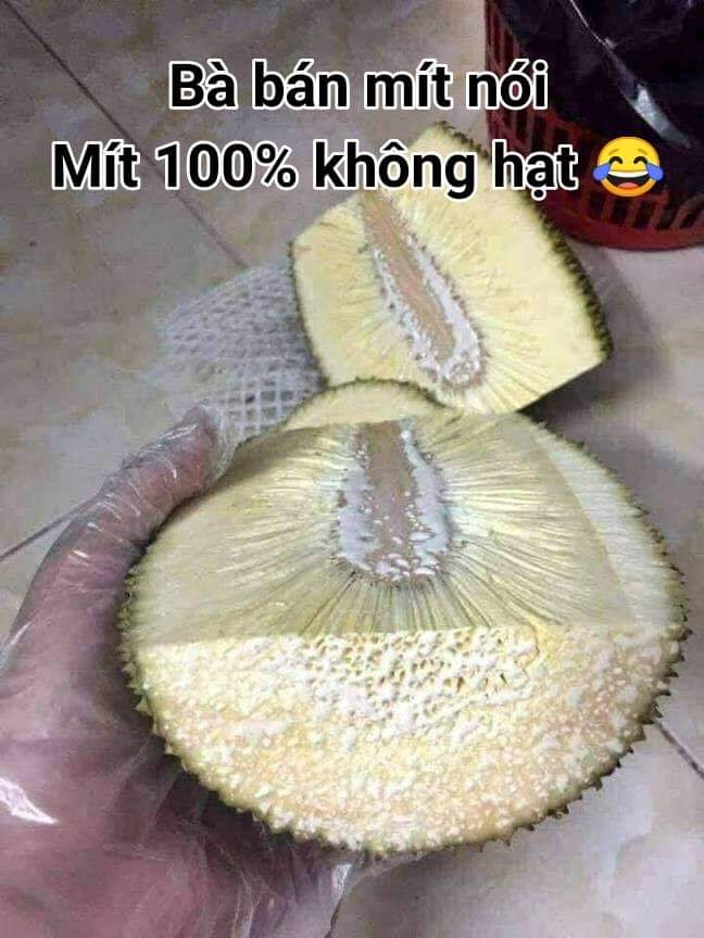 FB_IMG_1555117512562.jpg