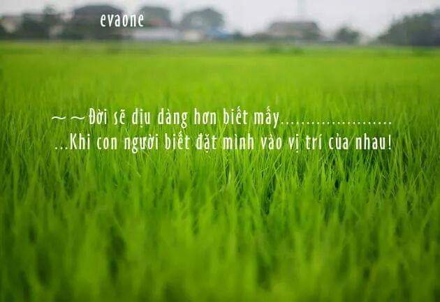 FB_IMG_1574259398894.jpg