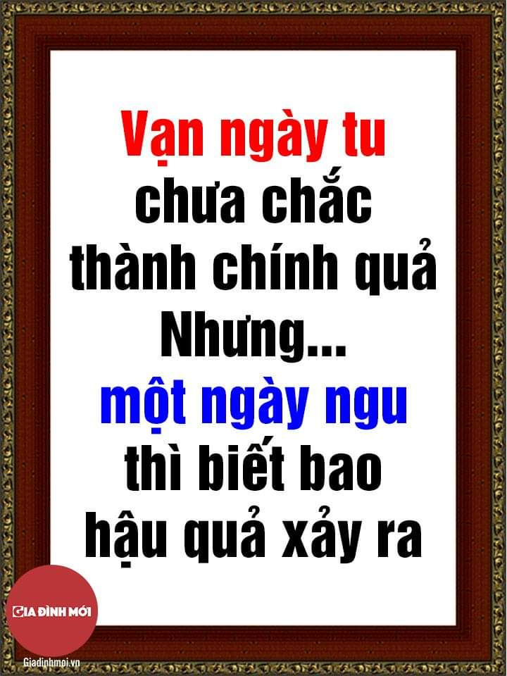 FB_IMG_1589803008148.jpg