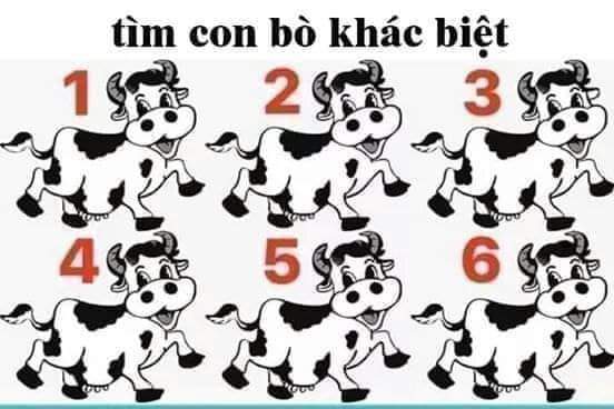FB_IMG_1593306711610.jpg