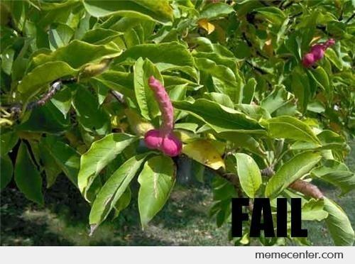 Flower-Penis_o_62666.jpg